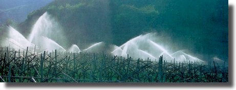 il sistema di irrigazione in funzione